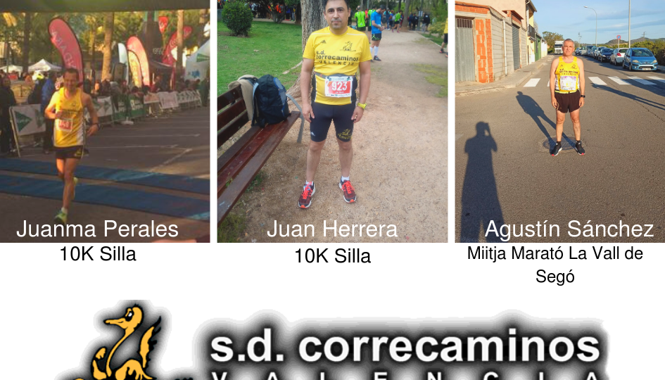 10k Silla (Demo)