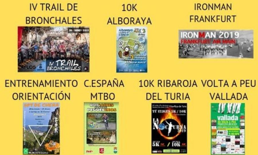 PORTADA AGENDA