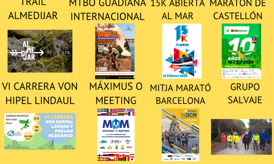 NUESTRO MEDIO MARATÓN Y MARATÓN RECONOCIDOS COMO LOS MEJORES DE ESPAÑA (7)