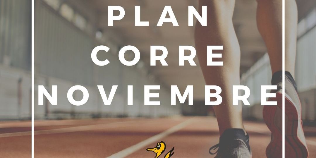 NOVIEMBRE