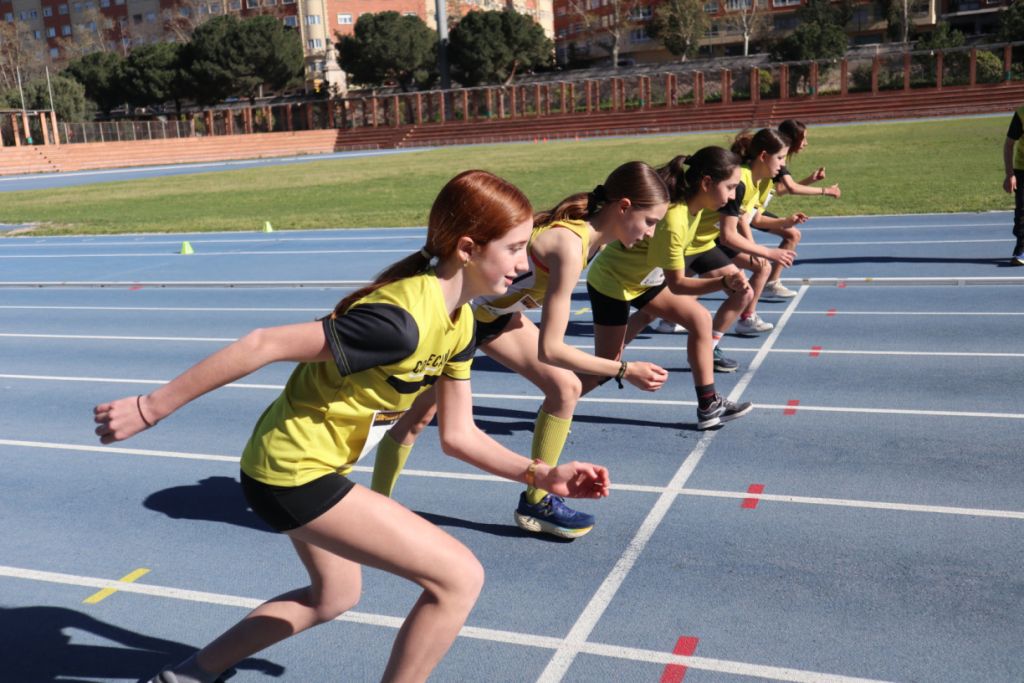 CAMPEONATOS SOCIALES 2026